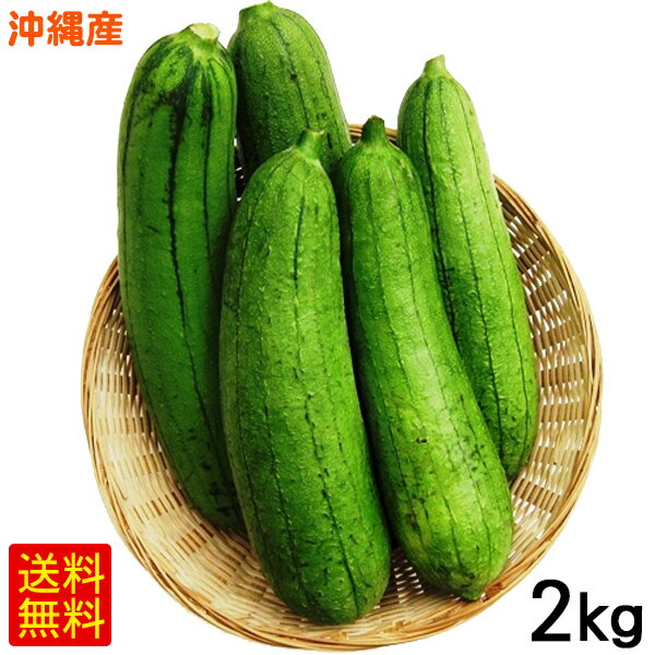 沖縄産へちま（ナーベーラー）2kg　/食用ヘチマ 沖縄野菜 【FS】のサムネイル