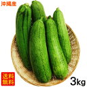 沖縄産へちま（ナーベーラー）3kg　/沖縄野菜 食用ヘチマ 【FS】