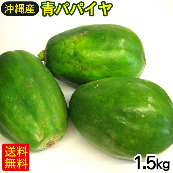 沖縄産 青パパイヤ 約1.5kg　/パパイヤ酵素 ダイエット 沖縄県産 冷蔵