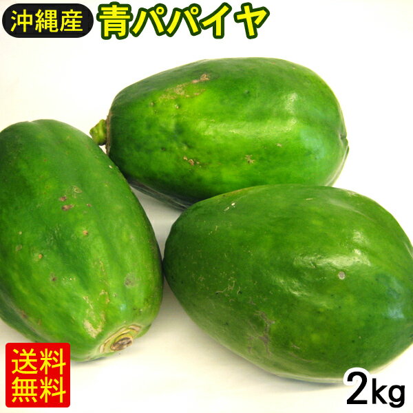 沖縄産 青パパイヤ 約2kg 