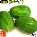沖縄産 青パパイヤ 約3kg（2〜9玉） 【FS】