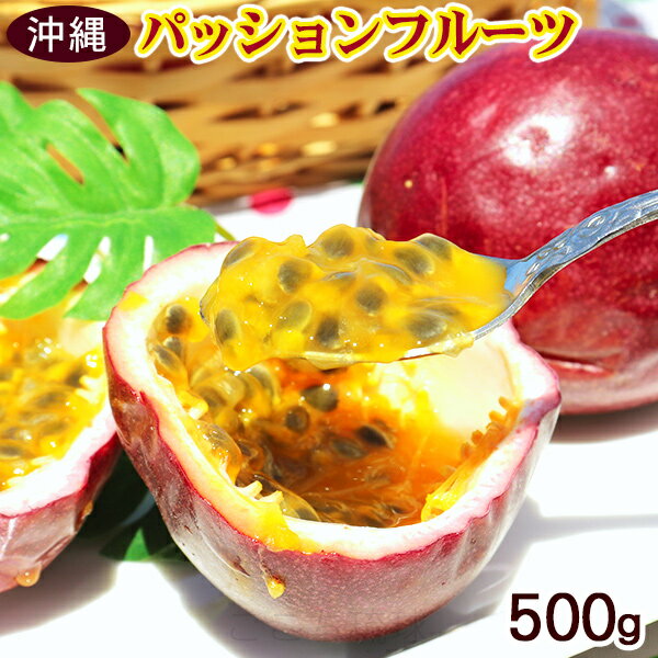 沖縄産 パッションフルーツ 5玉〜10玉（約500g） ＜ご自宅用＞　/沖縄県産のサムネイル