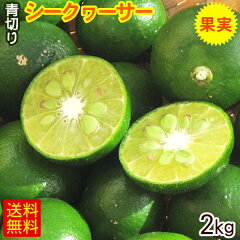 https://thumbnail.image.rakuten.co.jp/@0_mall/cocochi-oki/cabinet/03833426/siikwaasa-k2kg-s1.jpg