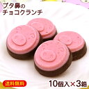 琉球あぶー ブタ鼻のチョコクランチ 10個入×3箱 /沖縄お土産 お菓子 南西産業 【FS】