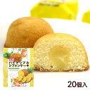 パイナップルシフォンケーキ 20個入 /沖縄お土産 お菓子 南西