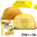 パイナップルシフォンケーキ 20個入×3箱 /沖縄お土産 お菓子 南西 【FS】