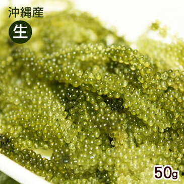 沖縄産 生海ぶどう50g(ドレッシング付) <常温発送> │大幸商事│