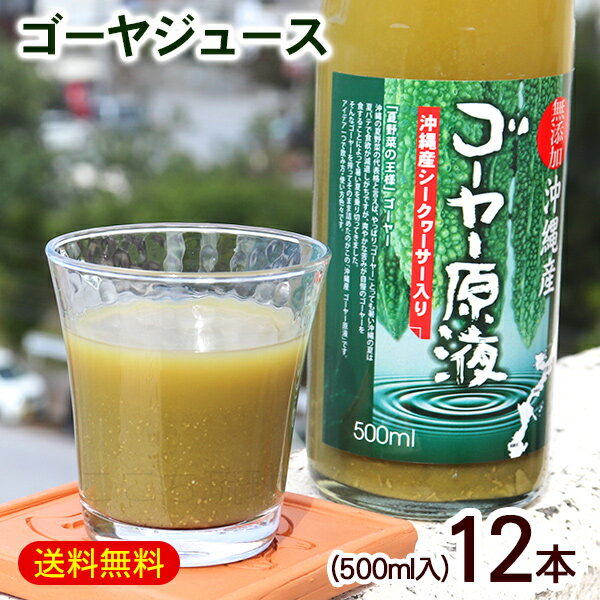 楽天沖縄お土産通販　ここち琉球ゴーヤー原液 シークワーサー果汁入り 500ml×12本　/沖縄産 ゴーヤジュース 野菜ジュース【FS】