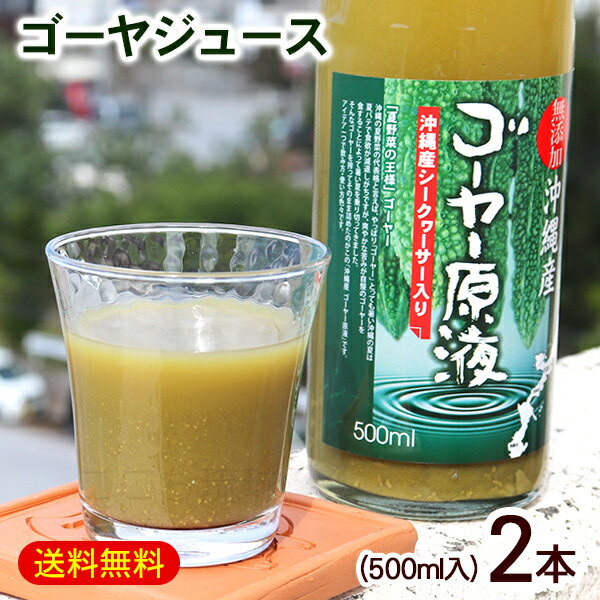 ゴーヤー原液 シークワーサー果汁入り 500ml×2本 /沖縄産 ゴーヤジュース 野菜ジュース【FS】