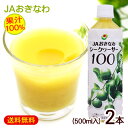 シークワーサー 果汁100％ 500ml×2本 【送料無料小型宅配便】 /JAおきなわ 青切り シークワーサー ジュース 原液 ノビレチン