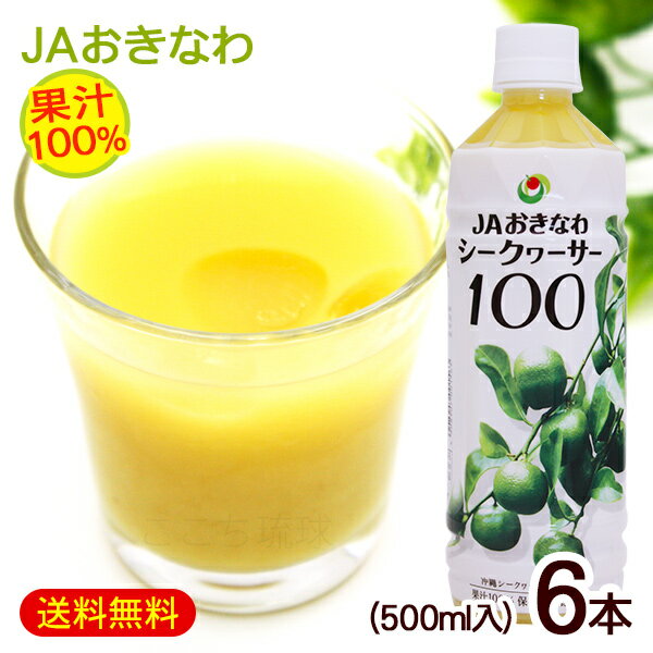 シークワーサー 原液 果汁100％ 500ml×6本 /JAおきなわ 青切り シークワーサージュース ノビレチン【FS】（訳あり価格に値下げ中）