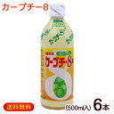 カーブチー8 カーブチーエイト 500ml×6本　/沖縄県産 JAおきなわ 希釈タイプ 柑橘系 カーブチージュース 【FS】