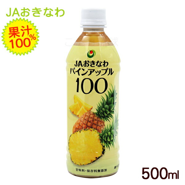 パインアップル100　500ml　 /沖縄産 パイナップル ジュース 果汁100％ JAおきなわ