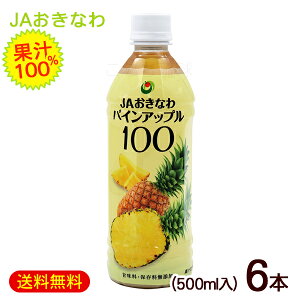 パインアップル100　500ml×6本　 /パイナップルジュース 沖縄産 パインジュース 果汁100％ JAおきなわ【FS】（訳あり価格に値下げ中）