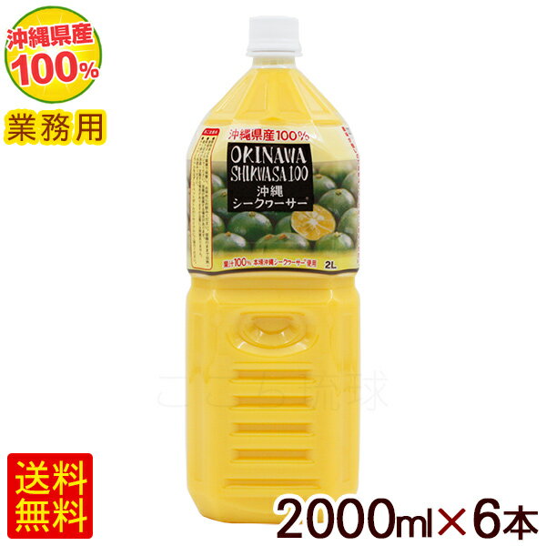 沖縄シークワーサー100 果汁100％ 2000ml×6本　/シークワーサージュース 原液 青切り 業務用 オキハム【FS】のサムネイル