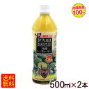 沖縄シークワーサー果汁100％ 500ml×2本　/シークワーサージュース 原液 オキハム