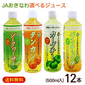 JAおきなわ 選べるジュース 500ml×12本　/パインアップルジュース タンカンジュース シークワーサージュース カーブチージュース ペットボトル【FS】