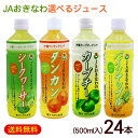 JAおきなわ 選べるジュース 500ml×24本 /シークワーサージュース パインアップルジュース タンカンジュース カーブチージュース ペットボトル【FS】