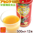 アセロラ100 果汁100％ 500ml×12本　/アセロラドリンク アセロラジュース 