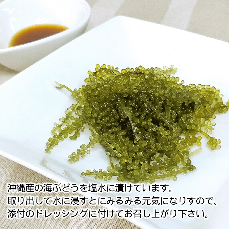 南国酒肴 海ぶどう タレ付き 57g×2個　/塩水漬け 沖縄産 お土産【M便】