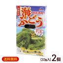 南国酒肴 海ぶどう タレ付き 33g×2個 /塩水漬け 沖縄産 お土産【M便】