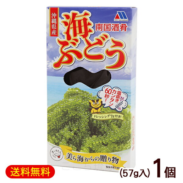 南国酒肴 海ぶどう タレ付き 57g×1個　/塩水漬け 沖縄産 お土産【M便】