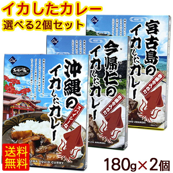 イカしたカレー 選べる2個セット　/シーフードカレー 沖縄お土産【M便】のサムネイル