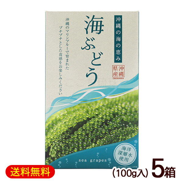 海ぶどう 100g×5箱 /箱入 タレなし 沖縄産 お土産 グローアップ 【FS】