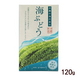 海ぶどう 120g 　/箱入 タレなし 沖縄産 グローアップ