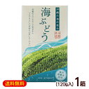 海洋深層水を使用。 沖縄のマリンブルーに育まれた海ぶどう。 プチプチ食感をお楽しみください。 ※まれに商品の中に褐色のヨコエビ等が混入している場合がございますが、味・品質等への影響はございません。水でよく洗い落として、お召し上がり下さい。 【ご注意】 冷蔵・冷凍品と一緒にご注文された場合、別途送料を追加させていただきます。予めご了承下さい。 海ぶどうは商品の性質上、冷蔵冷凍で送ることができません。 ■名称：海ぶどう ■内容量：120g×1箱 ■原材料：クビレズタ(沖縄県産)、食塩、海洋深層水 ■賞味期限：パッケージまたはラベルに記載 ■保存方法：直射日光および高温を避け常温にて保存。 ■生産国：日本 ■販売者：グローアップコーポレーション/沖縄県糸満市 ■製造所：サングリーンフレッシュ沖縄/沖縄県糸満市 　　