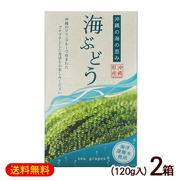 海洋深層水を使用。 沖縄のマリンブルーに育まれた海ぶどう。 プチプチ食感をお楽しみください。 ※まれに商品の中に褐色のヨコエビ等が混入している場合がございますが、味・品質等への影響はございません。水でよく洗い落として、お召し上がり下さい。 【ご注意】 冷蔵・冷凍品と一緒にご注文された場合、別途送料を追加させていただきます。予めご了承下さい。 海ぶどうは商品の性質上、冷蔵冷凍で送ることができません。 ■名称：海ぶどう ■内容量：120g×2箱 ■原材料：クビレズタ(沖縄県産)、食塩、海洋深層水 ■賞味期限：パッケージまたはラベルに記載 ■保存方法：直射日光および高温を避け常温にて保存。 ■生産国：日本 ■販売者：グローアップコーポレーション/沖縄県糸満市 ■製造所：サングリーンフレッシュ沖縄/沖縄県糸満市 　　