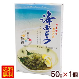 海ぶどう タレなし 50g×1個 （常温発送）　/宮城商店 ポイント消化【M便】