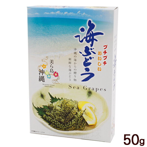 海ぶどう タレなし 50g （常温発送）　/宮城商店