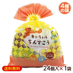 キャラメルちんすこう 4種 袋（2個×12袋）×1袋　/アソート 抹茶 紅茶 塩 カフェオレ 沖縄お土産 お菓子 南国青果【小宅】