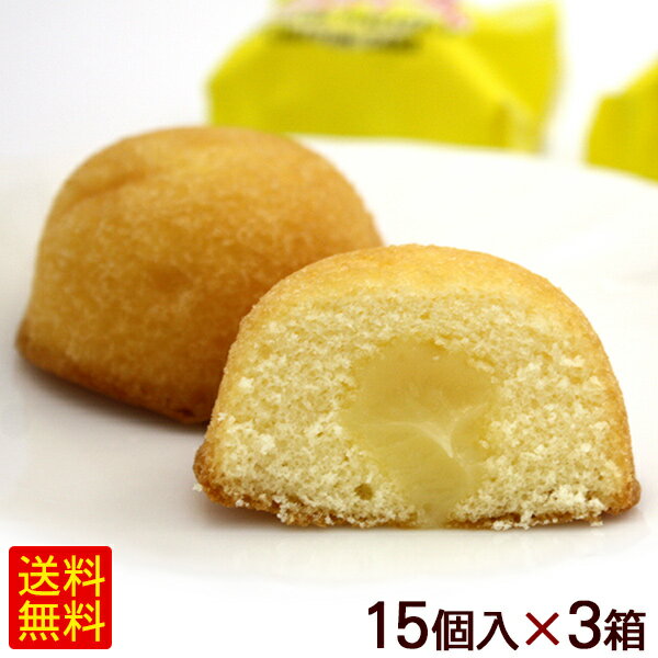 シフォンケーキ パイナップルシフォンケーキ 15個入×3箱　/沖縄お土産 お菓子 南西 【FS】