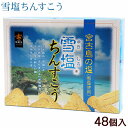 沖縄のお土産で人気の雪塩ちんすこうです。 ミネラル豊富な宮古島の塩『雪塩』と沖縄伝統菓子『ちんすこう』のコラボレーションで人気商品になりました！ ほのかな塩味とさっぱりとした甘さがくせになるオススメ商品です。 ■名称：焼菓子 ■内容量：48個（2×24袋） ■原材料：小麦粉、砂糖、ラード、ショートニング、食塩（宮古島産）／膨張剤、（一部に小麦・豚肉・大豆を含む） ■賞味期限：パッケージまたはラベルに記載 ■保存方法：直射日光、高温多湿を避け、常温にて保存 ■製造者：南風堂株式会社／沖縄県糸満市