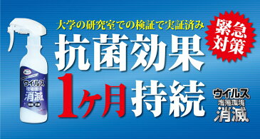 【入荷次第順次発送】お得な3個セット　【あす楽】【スプレー式消毒剤】スプレーして約1か月持続の抗菌・抗ウィルス効果『ウィルス増殖環境　消滅』　300ml　マスクや衣服への噴霧もOK　ウィルス除菌　消毒液　【消毒剤・ウィルス・除菌・抗菌剤・エタノール・アルコール】