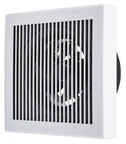 V-12PLD8ɩ24ִǽաѥѥե(ӵ)＼ȥ졦̽ѡ150mm³®ü³ѷ...