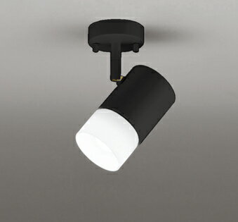 オーデリック スポットライト 【OS256143RG】【OS 256 143RG】　ブラケットライト【代引決済・後払い決済不可】【純正品】