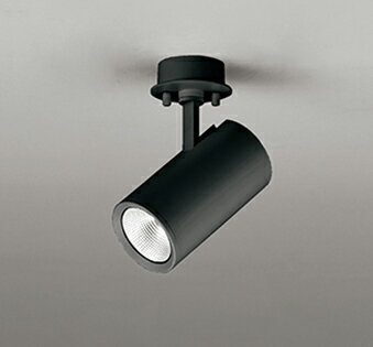 オーデリック スポットライト 【OS256534R】【OS 256 534R】【代引決済・後払い決済不可】【純正品】