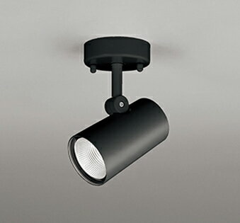 オーデリック スポットライト 【OS256544R】【OS 256 544R】【代引決済・後払い決済不可】【純正品】