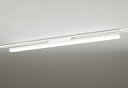オーデリック ベースライト 【XL451002RC】【XL 451 002RC】【代引決済・後払い決済不可】【純正品】(3)