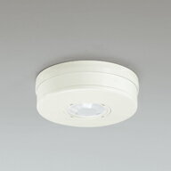 【代引・後払い不可】【OA253219P1】オーデリック　エクステリアライト