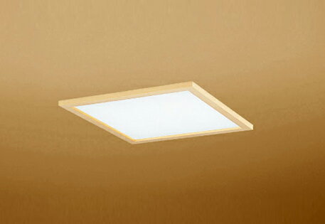 ʧԲġۡOD301208P2Bۥǥå¾ LEDη 鿧(Ra)83 ¼ƥꥢ...