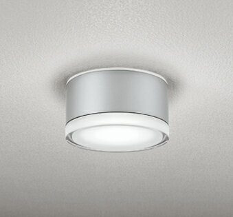 【代引・後払い不可】【OG254600NR】オーデリック　エクステリアライト 昼白色 LED照明