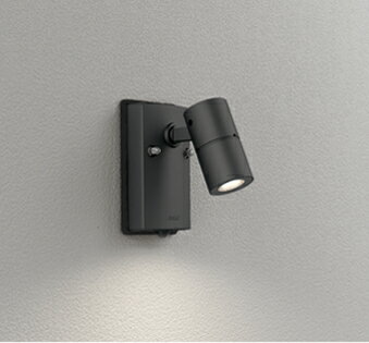 【代引・後払い不可】【OG254918】オーデリック　エクステリアライト