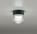 【OG264047NR】オーデリック バスルームライト・脱衣場ライト LEDランプ NO295GN 演色性(Ra):94 照明器具、LED、お風呂、電気、浴室、電灯、脱衣所、洗面所、ライト 施主支給 昼白色 LED照明