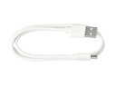 【ゆうパケット】パナソニック Panasonic 高周波治療器 コリコランワイド USB専用ケーブル EWRA550W7697
