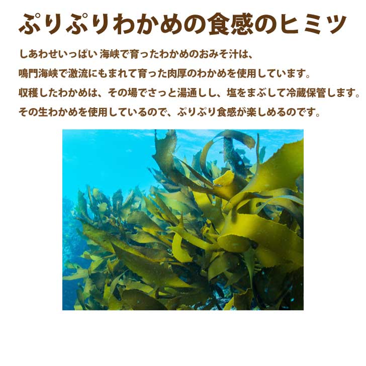 【送料無料】海峡で育ったわかめのおみそ汁【30食入】【無添加フリーズドライ味噌汁】【コスモス食品】ワカメ味噌汁 30袋 化学調味料無添加