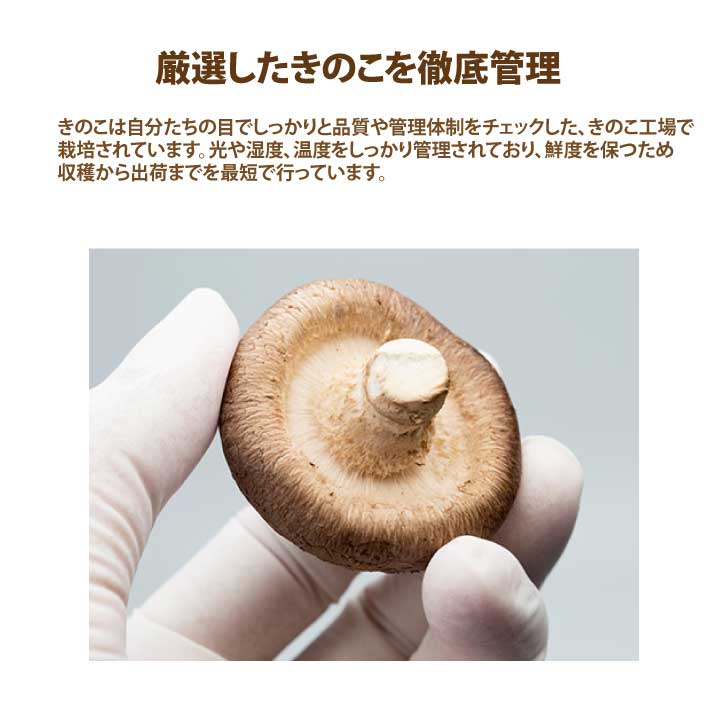 ���ܤκΤ줿�Ƥ��Τ��Τ��ߤ���10�ޥ��åȡ�̵ź�åե꡼���ɥ饤̣�����ۡڥ����⥹���ʡ۹� ���� �������� �ʤᤳ ���Τ�